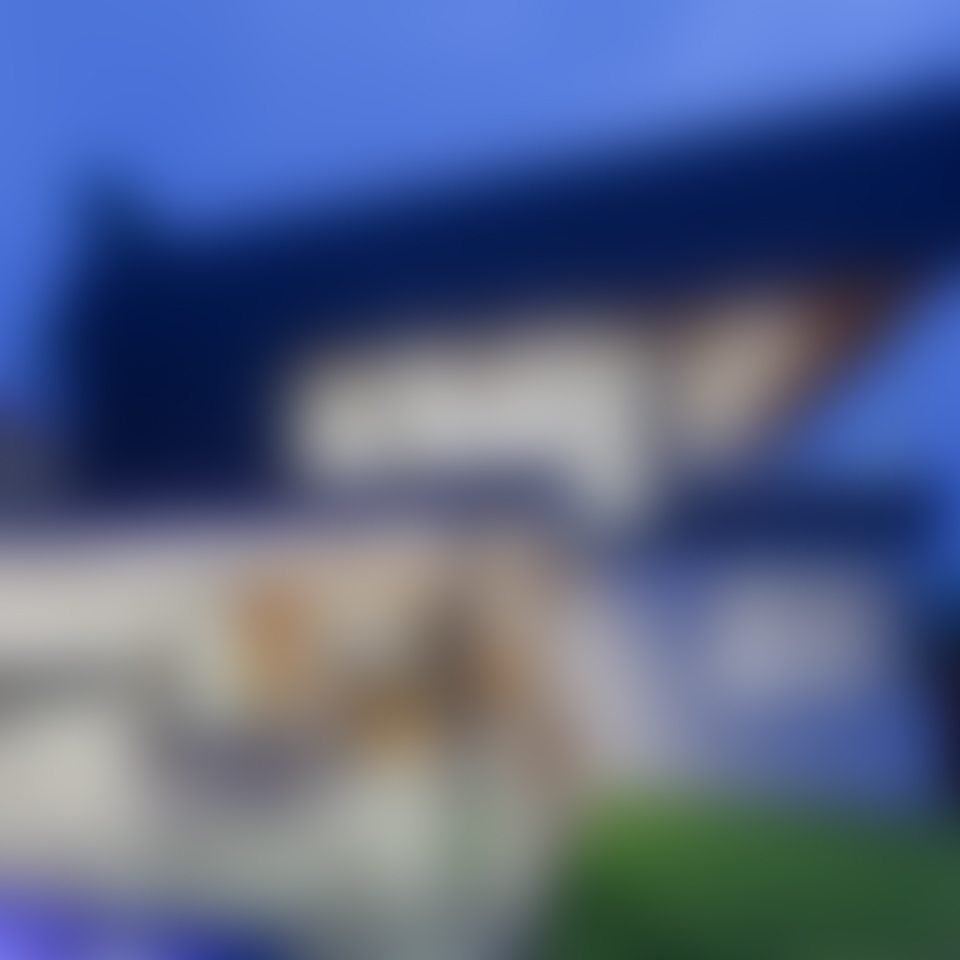 Moore Park Residence by Drew Mandel